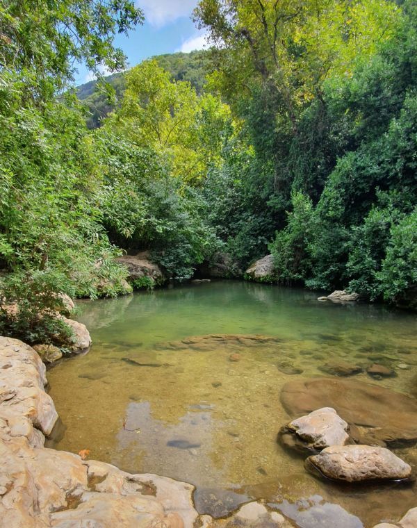 תמונה של עין חרדלית: נוף גלילי ובריכות טבעיות - למטייל בישראל (טיולי)